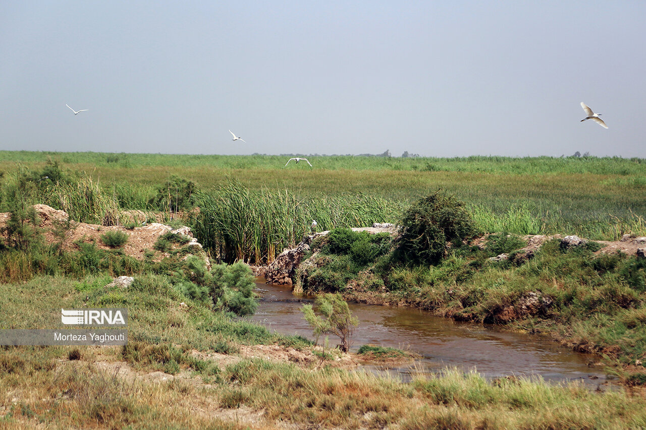 سطح آبگرفتگی دریاچه ارومیه به ۱۶ درصد رسید/تدوین تقویمی دقیق برای رهاسازی حقابه تالاب‌ها