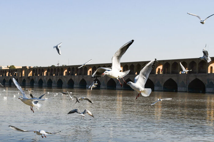 ای نرفته از دل؛ اندرآ شاد آمدی