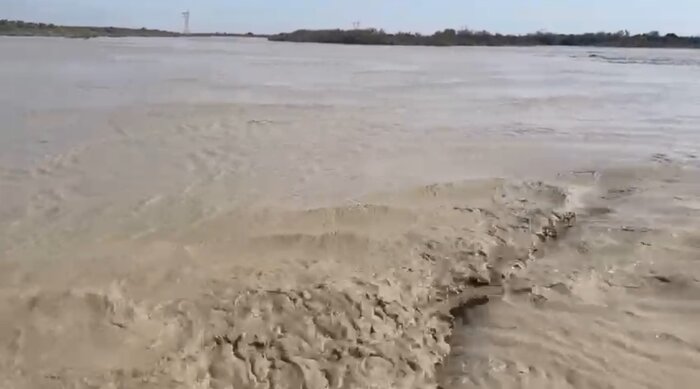 تالاب" حله" بوشهر، گهواره تنوع زیستی نیازمند مدیریت یکپارچه و مشارکت جوامع محلی