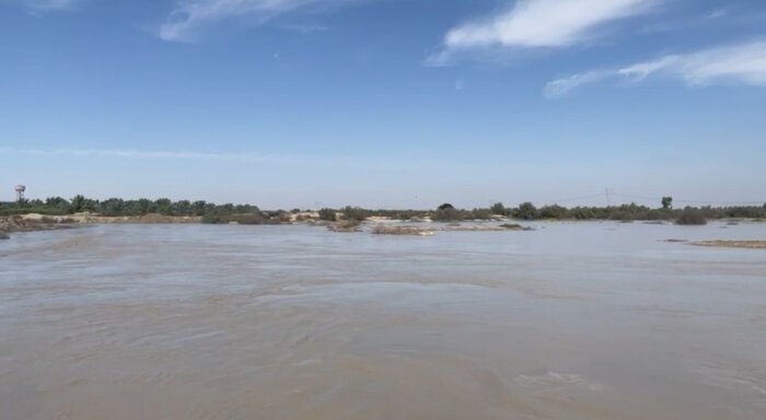 تالاب" حله" بوشهر، گهواره تنوع زیستی نیازمند مدیریت یکپارچه و مشارکت جوامع محلی