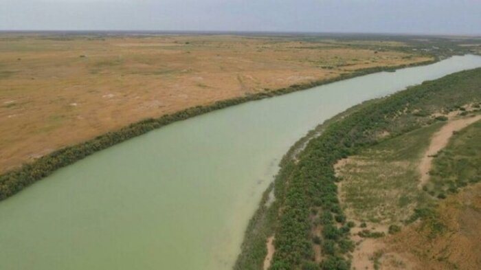 تالاب" حله" بوشهر، گهواره تنوع زیستی نیازمند مدیریت یکپارچه و مشارکت جوامع محلی