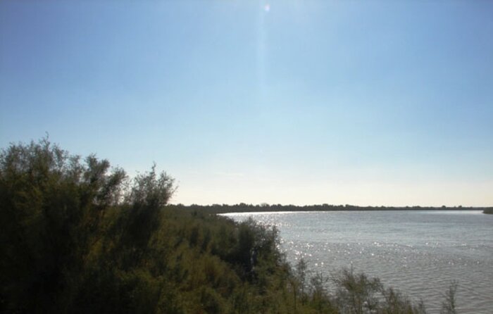 تالاب" حله" بوشهر، گهواره تنوع زیستی نیازمند مدیریت یکپارچه و مشارکت جوامع محلی