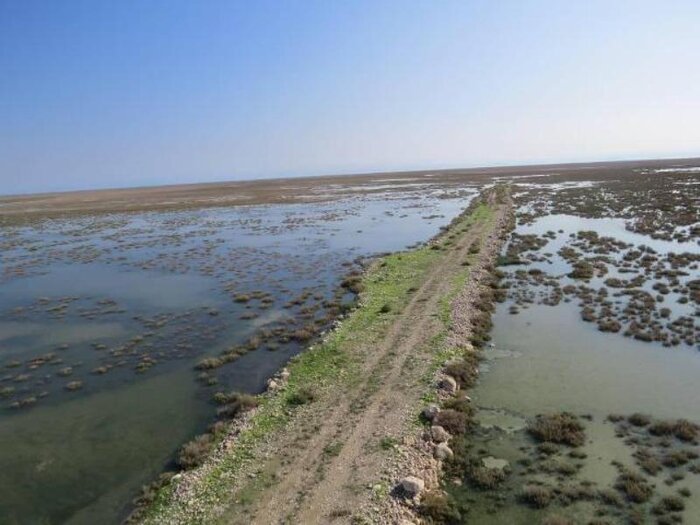 تالاب" حله" بوشهر، گهواره تنوع زیستی نیازمند مدیریت یکپارچه و مشارکت جوامع محلی