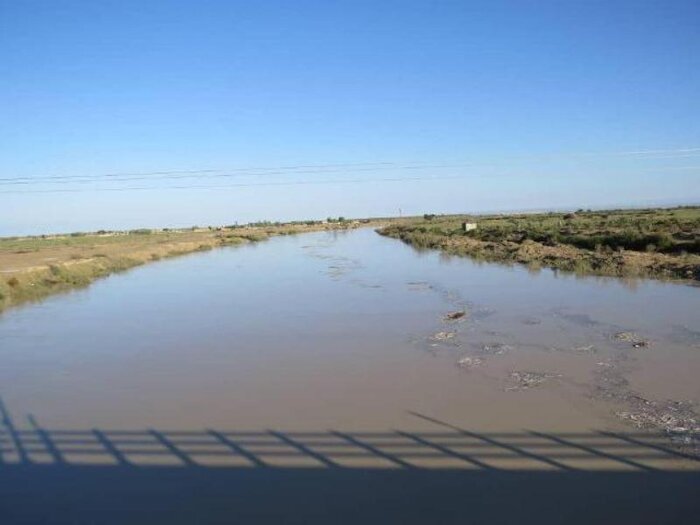 تالاب" حله" بوشهر، گهواره تنوع زیستی نیازمند مدیریت یکپارچه و مشارکت جوامع محلی