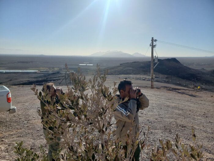 سفر به قلب طبیعت یزد؛ گرگها ساندویچ نمیخورند + فیلم