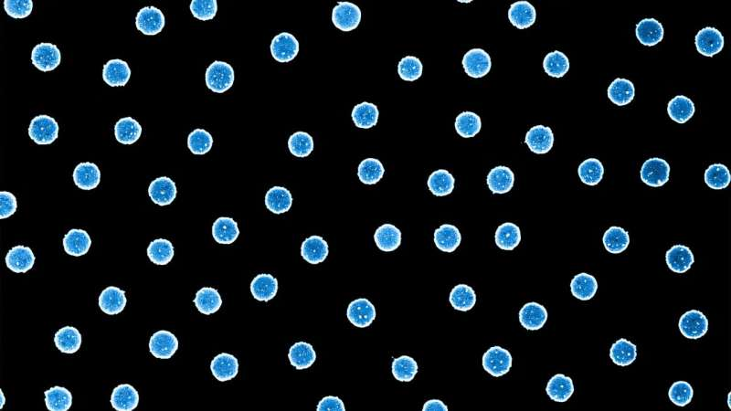 ساخت حسگر هیدروژنی با قابلیت ضدآب پیشرفته؛ هرچه مرطوبتر، دقیقتر!