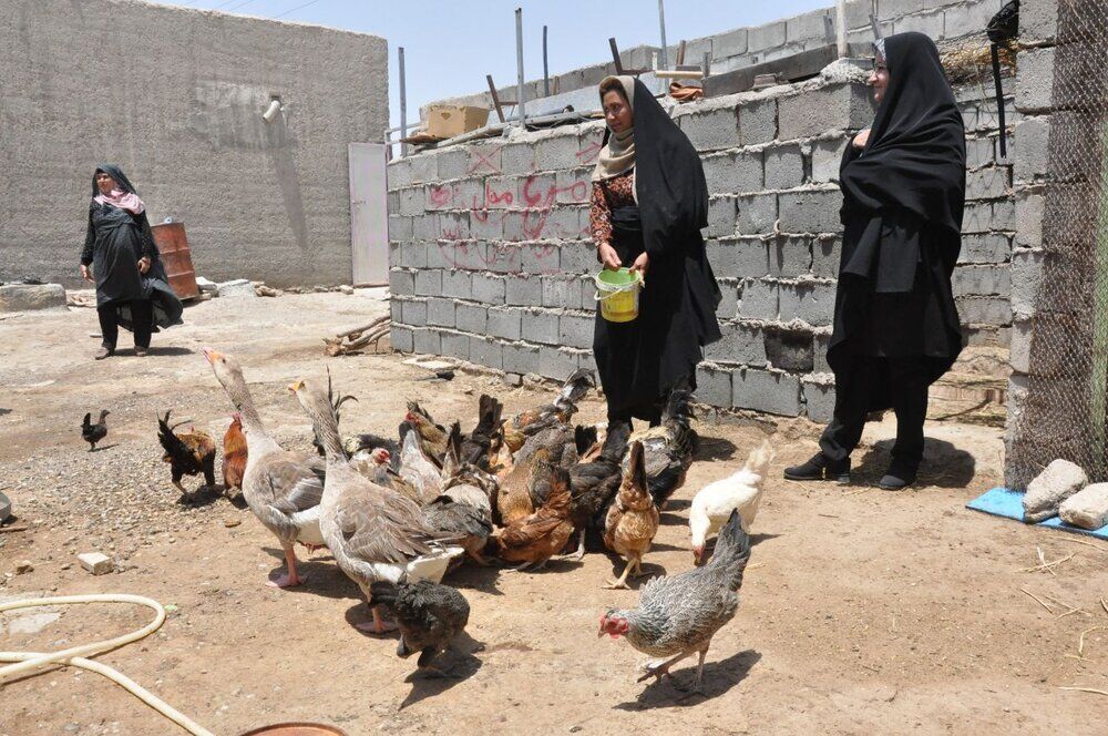 گسترش پوشش بیمه‌ای زنان روستایی و عشایری سیستان و بلوچستان ض