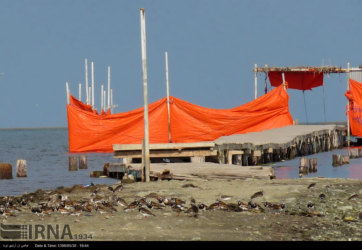 تهیه نقشه‌ پهنه‌بندی آلودگی سواحل مکران و شناسنامه واحدهای صنعتی ساحلی