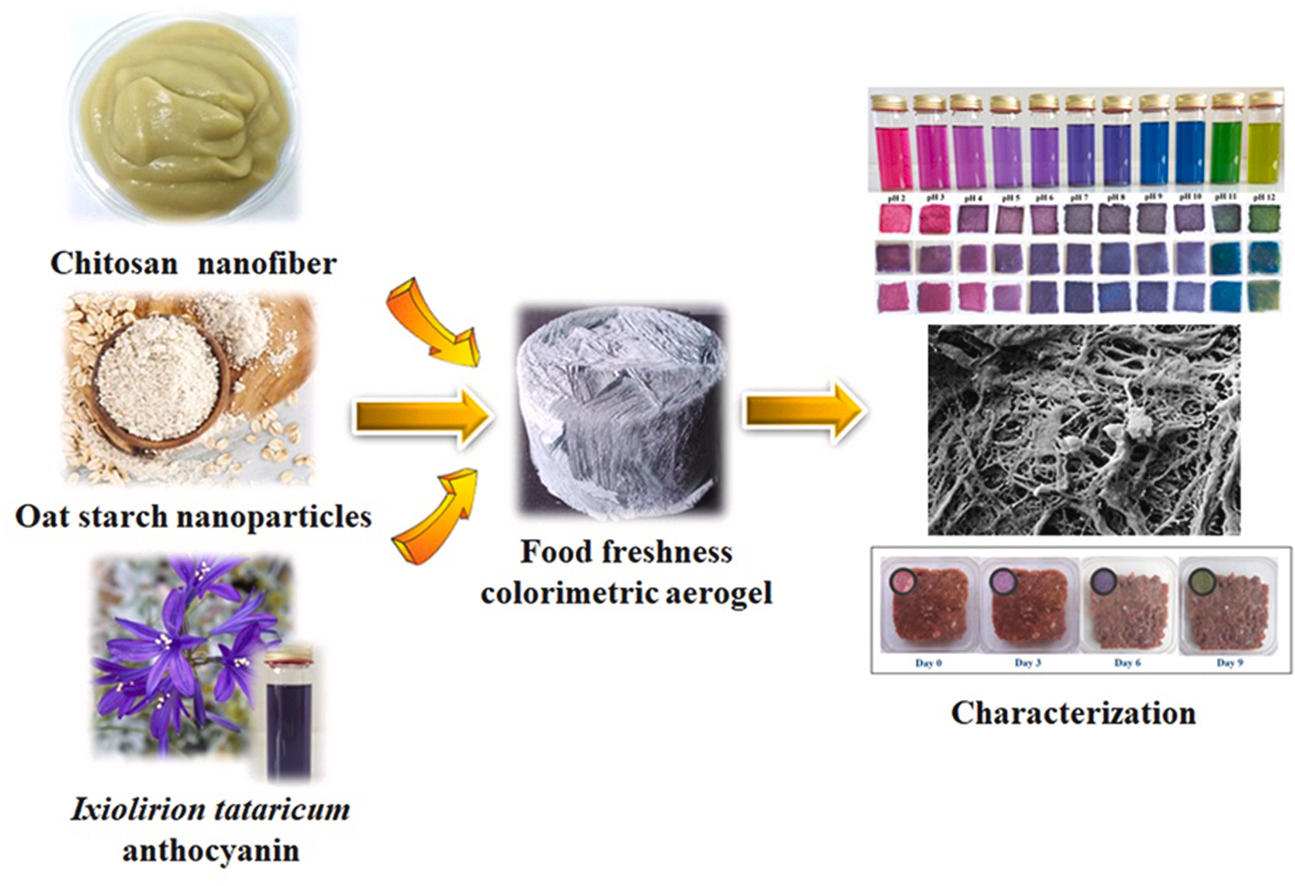 ایروژل‌های هوشمند برای تشخیص فساد مواد غذایی طراحی شدند