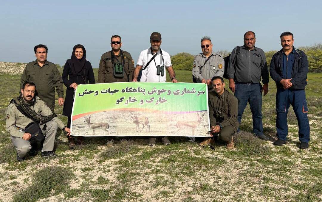 نخستین بار سرشماری آهوان اثر طبیعی ملی جزیره خارگو با پهپاد انجام شد