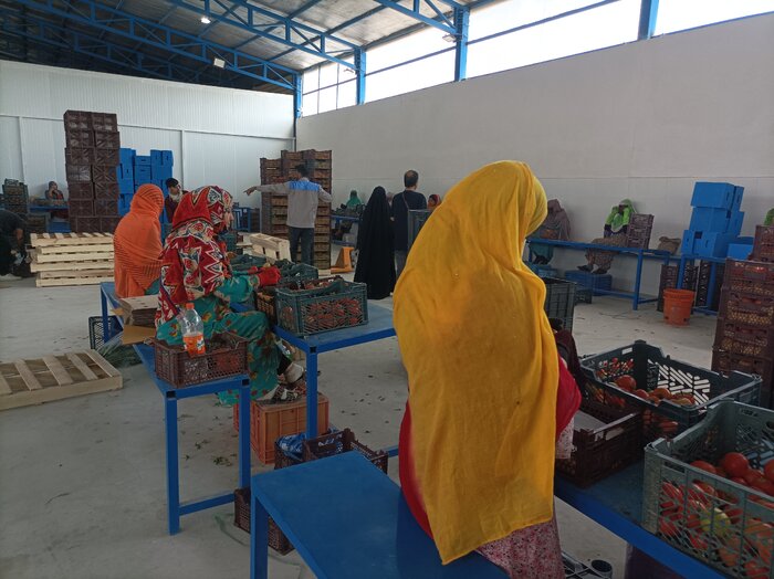 فرآوری؛حلقه مفقوده صنایع تبدیلی هرمزگان/عبور از فروش هزارتومانی به ارزش افزوده پنج برابری