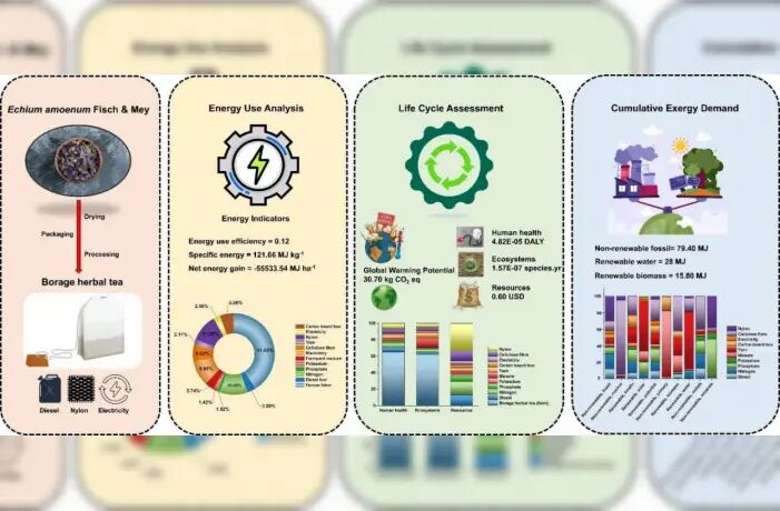 تدوین نقشه راه جامع شاخص پایداری در زنجیره تولید دمنوش گل‌گاوزبان ایرانی