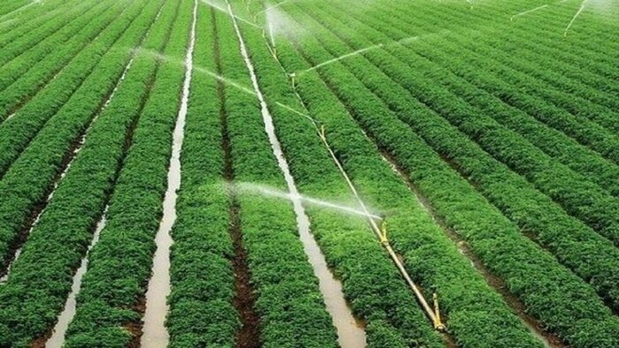 تولید یک میلیون تن محصول با تکمیل شبکه آبیاری خداآفرین در استان اردبیل