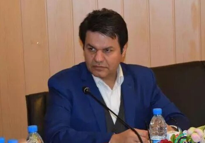 رییس هیات مدیره انجمن ملی پلمیر: روند اداری مرتبط با تولید در شرایط جنگی کاهش یابد