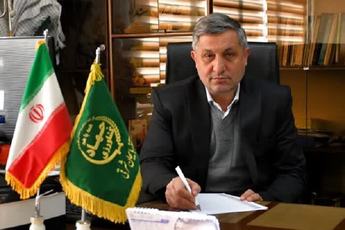 برداشت ۱۸ هزار تن سیر از مزارع آذربایجانشرقی