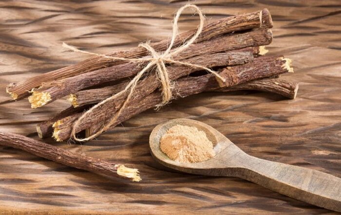 شیرینبیان مشهور؛ دارویی در خاک مرغوب کرمان