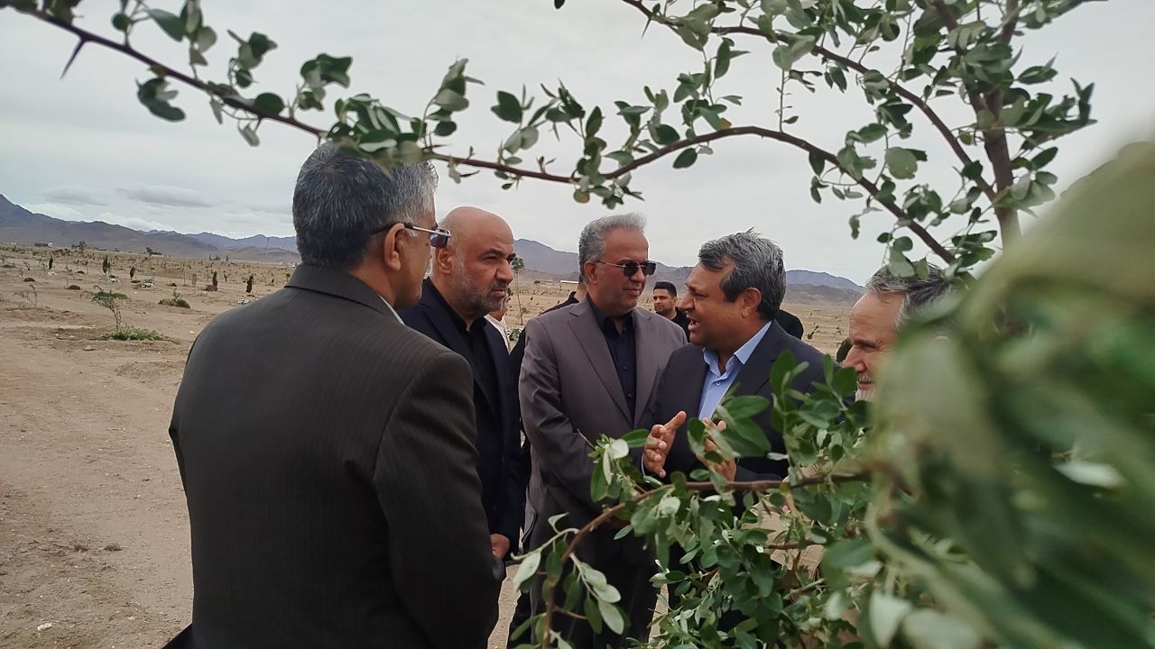 توسعه فضای سبز؛ موتور پنهان جذب سرمایه و رونق گردشگری در زاهدان