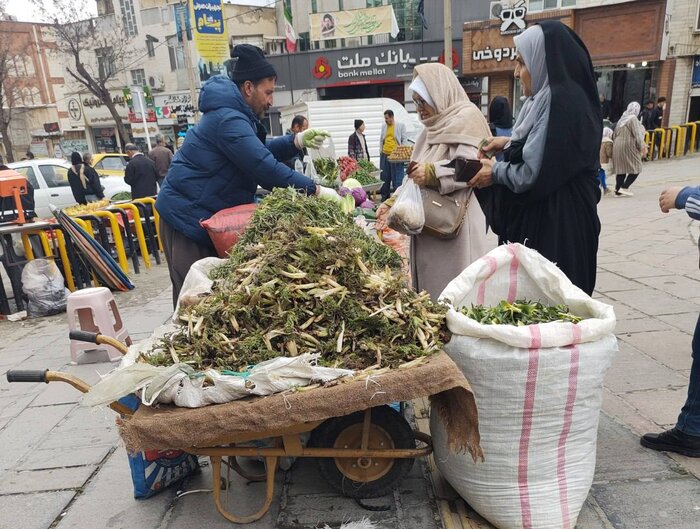 ایلام نگین سبز زاگرس ویترین تنوع زیستی گیاهی و جانوری ایران