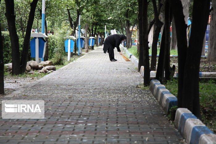 بازگشت زودهنگام عطر بهارنارنج به خیابان های مازندران