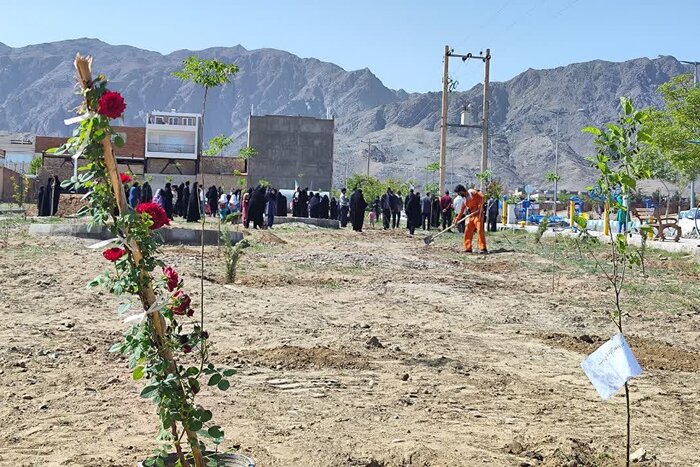 کاشت ۱۲۰۰ نهال در خراسان جنوبی به یاد «امام شهید امت»/ پویش «سرو ایران» در ایستگاه چهلم