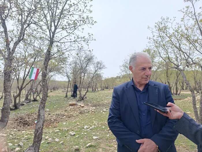 تولید ۶۶۰ میلیون نهال در طرح مردمی کاشت یک میلیارد درخت