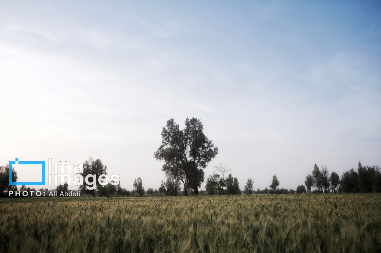 ورودی آب به سیستان پس از سالها خشکسالی