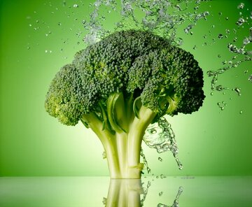تغذیه مغز؛ ۱۰ خوراکی برای تقویت حافظه و تمرکز