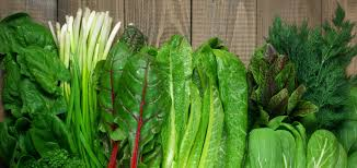 تغذیه مغز؛ ۱۰ خوراکی برای تقویت حافظه و تمرکز