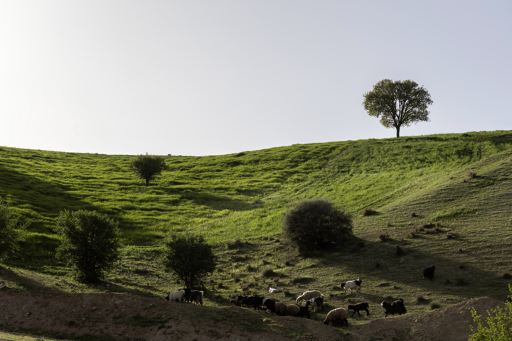 مشایخ، دهستانی که طبیعت در آن نفس میکشد