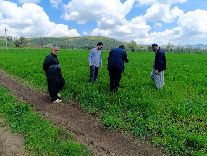 کاروان‌های ترویجی کشاورزی از ۶ مهر فعال می شوند