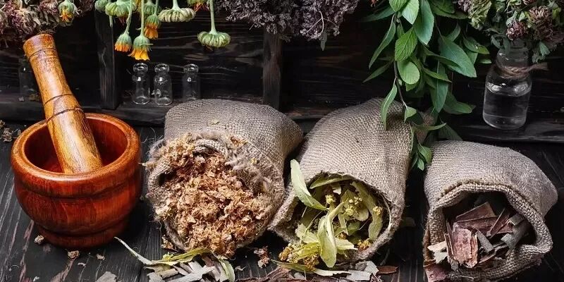طراحی و ساخت اپلیکیشن شناسایی و تشخیص تقلب‌ در گیاهان دارویی