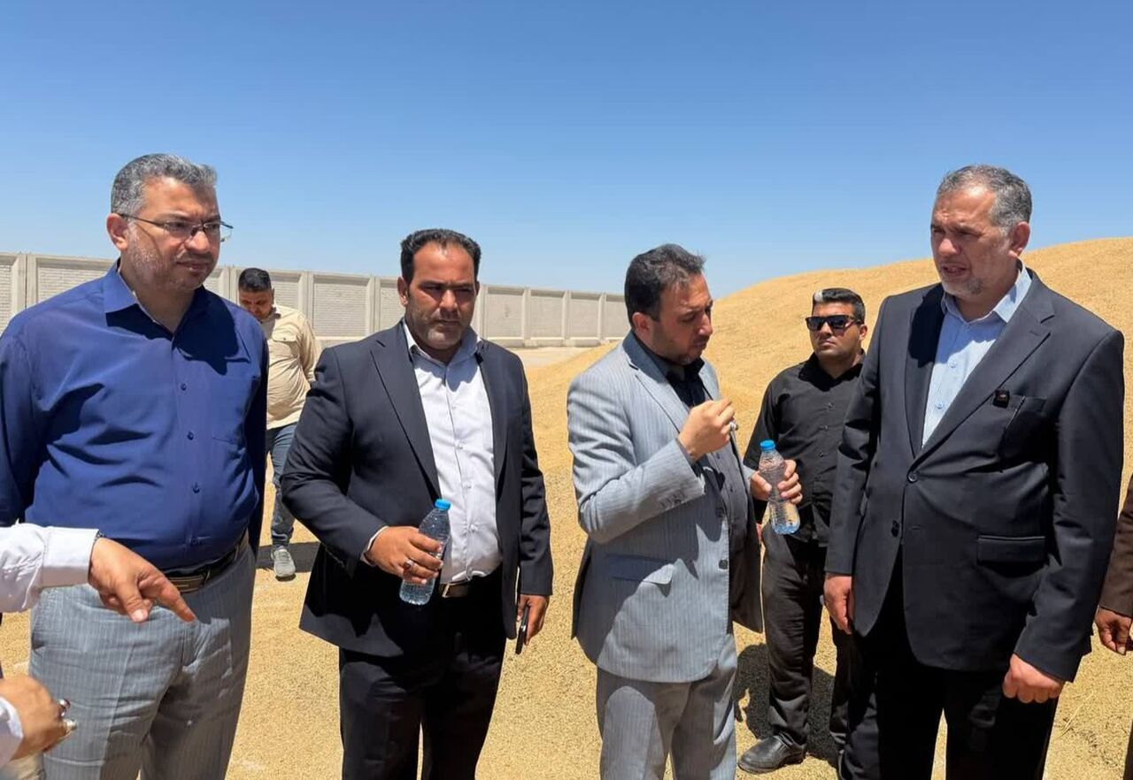 نماینده اهواز در مجلس بر لزوم حمایت جدی از کشاورزان گندم‌کار حمیدیه تاکید کرد