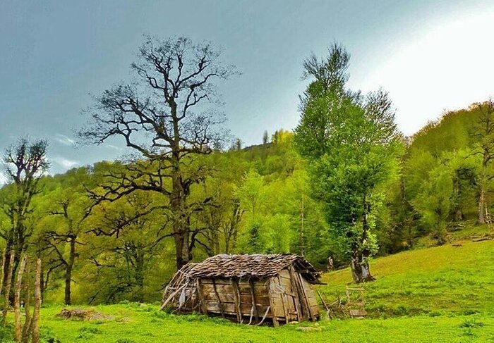 خبرهای خوب گیلان در هفته ای که گذشت