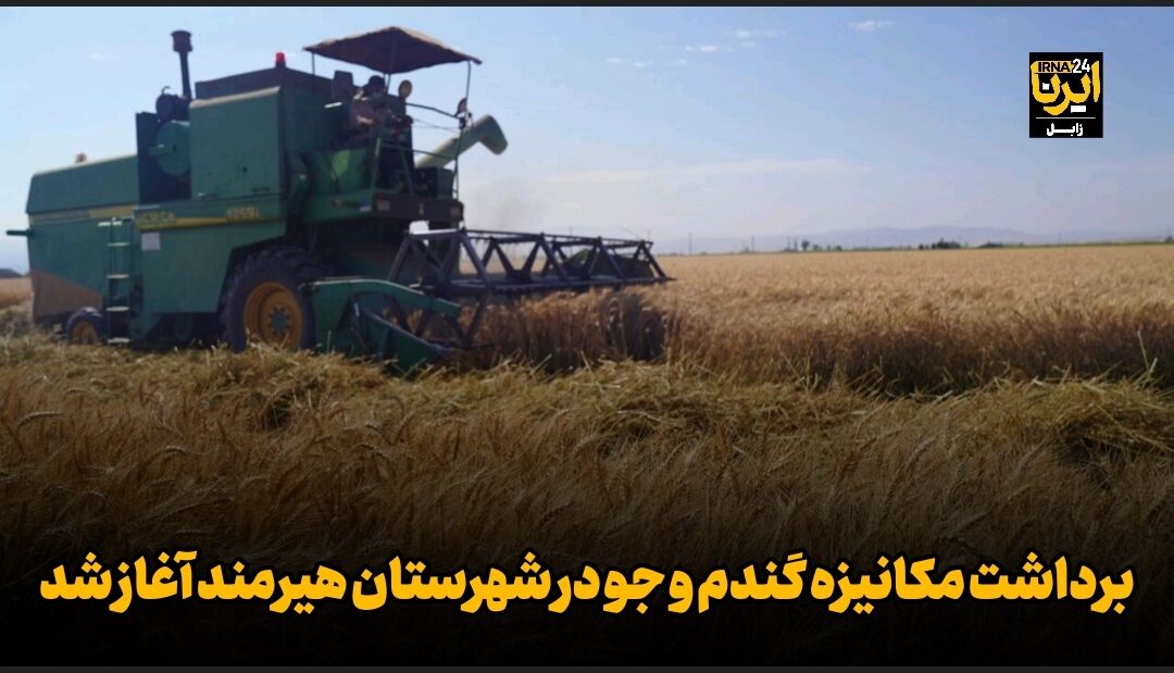 فیلم| برداشت مکانیزه گندم و جو در شهرستان هیرمند آغاز شد