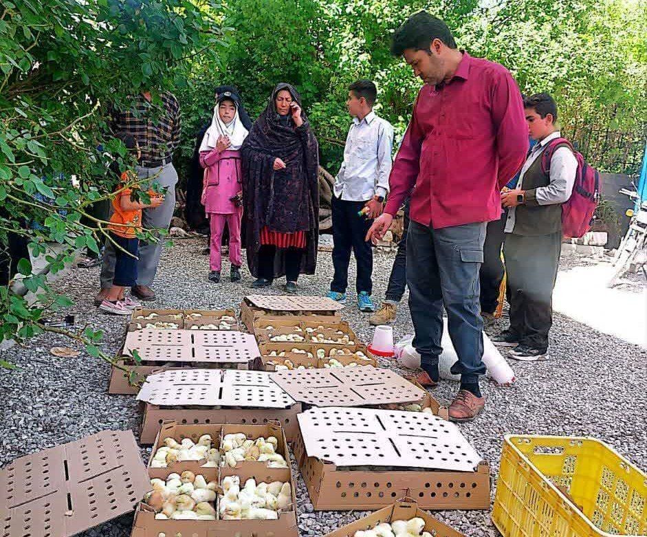 زنجیره ارزش انگور، مرغ بومی و زنبور عسل در آذربایجان غربی راه اندازی شد