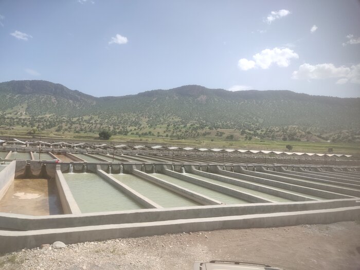 آبزی‌پروری گنج ناشناخته سرمایه‌گذاری در گچساران