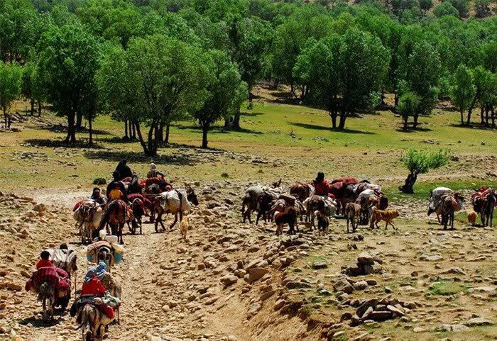 کوچ بهاره عشایر در همدان؛ ایلراههای فراموششده و تنشهای تازه میان عشایر و روستاییان