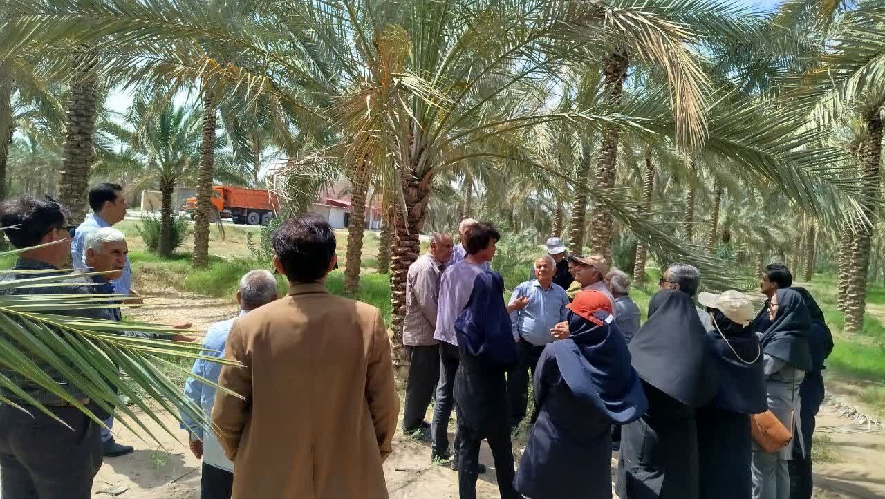 تمرین کنترل عوامل خسارت‌زای نخیلات در استان بوشهر اجرا شد