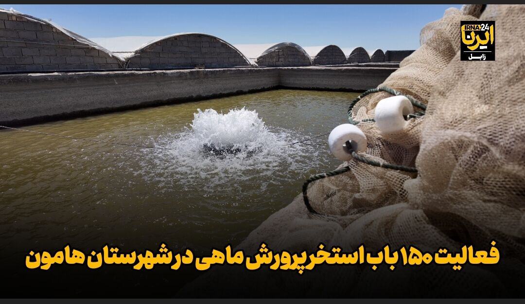 فیلم| فعالیت ۱۵۰ استخر پرورش ماهی در شهرستان هامون