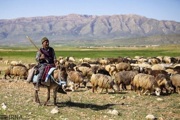عشایر تهران از کوچ زود هنگام پرهیز کنند