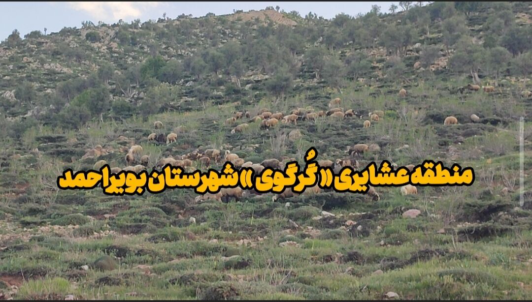 فیلم | منطقه عشایری«گُرگوی» شهرستان بویراحمد