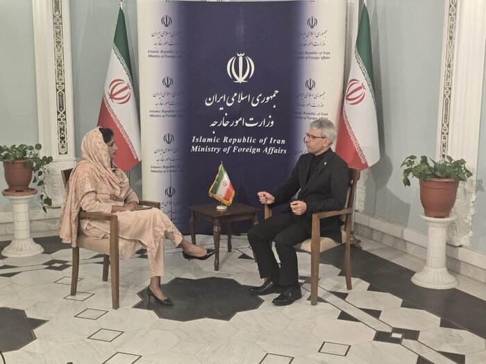 ایران در حوزه نظامی توان غافلگیری زیادی دارد/ روابط ایران با سایر کشورها علیه هند نیست