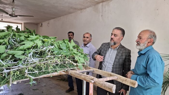 آزادسازی ۲۵ هزار مترمربع از اراضی کشاورزی تفت یزد
