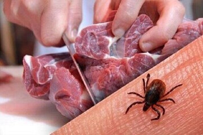 یک میلیون و ۲۰۰ هزار متر مربع جایگاه نگهداری دام در اردبیل  سمپاشی شد