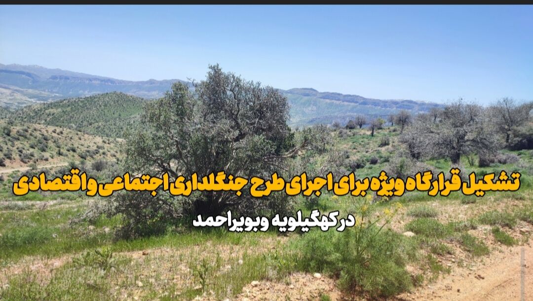 فیلم |تشکیل قرارگاه ویژه اجرای طرح بزرگ «جنگلداری اجتماعی و اقتصادی» در کهگیلویه وبویراحمد