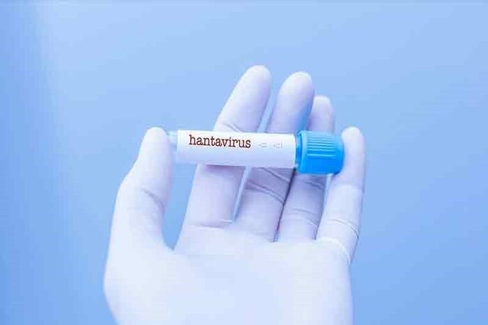 « هانتاویروس » چیست و چگونه منتقل میشود؟