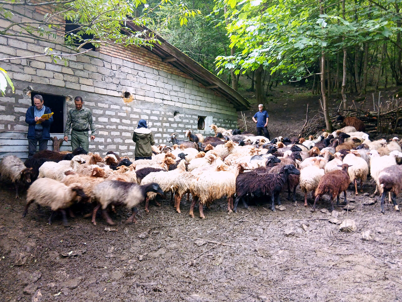 Başlıksız Haber