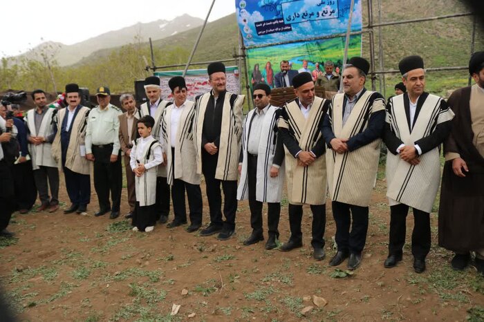 تولید علوفه در کشور ۳۰ درصد افزایش یافت