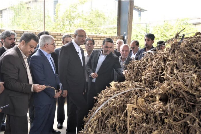 اقدامات کرمانشاه برای تقویت صنعت و توسعه اقتصادی: از صادرات شیرینبیان تاپروژههای سوختی
