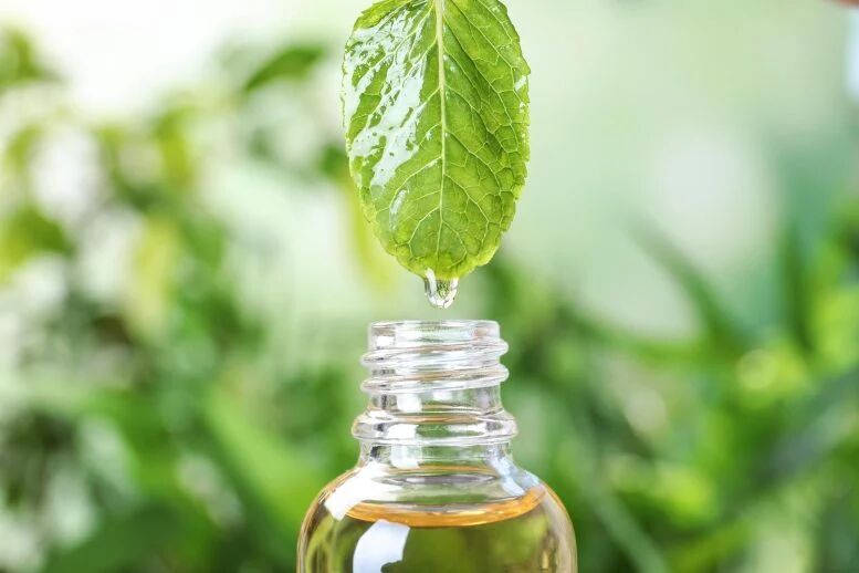 درمان طبیعی فشار خون با روغن نعنا؛ ساده، ارزان و مؤثر